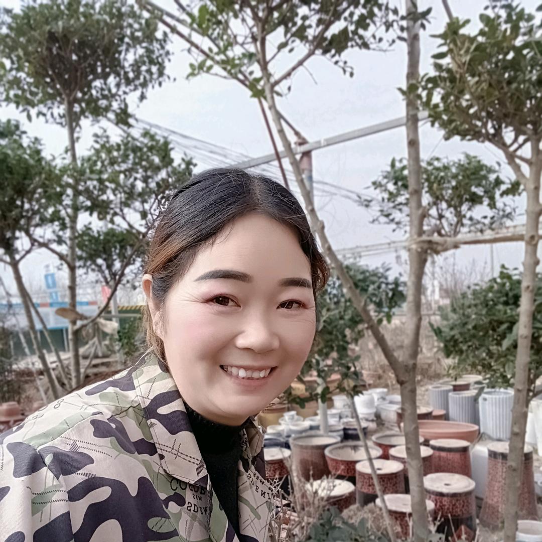 叶县城东花卉