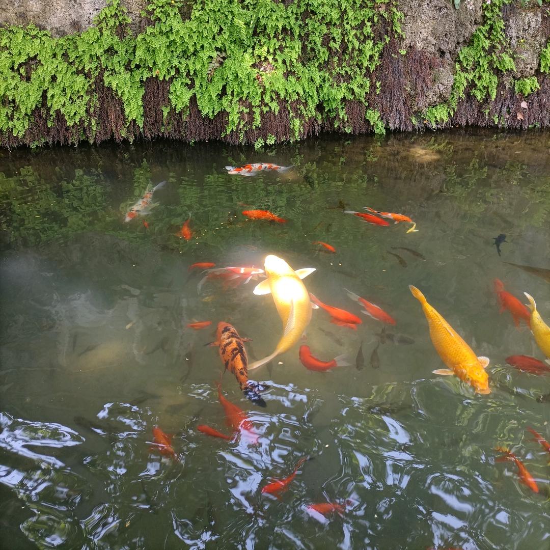 晋城🇨🇳毕g