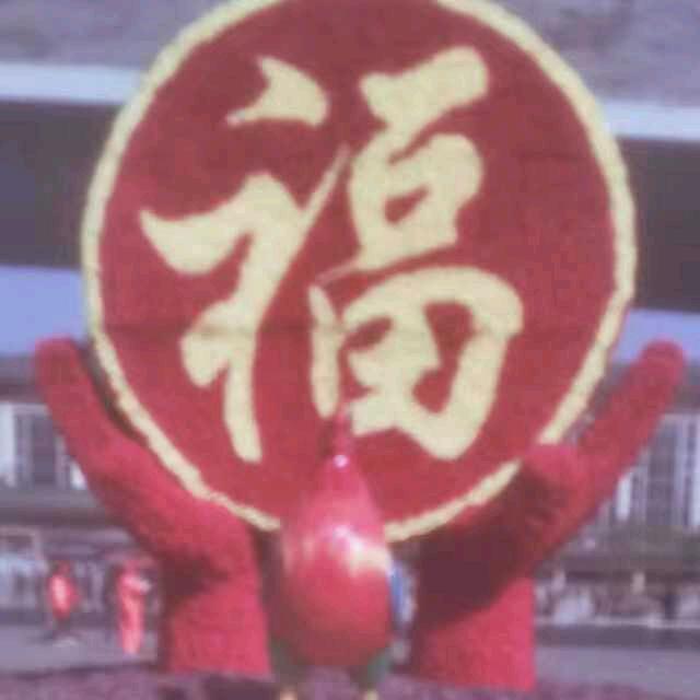 刚哥