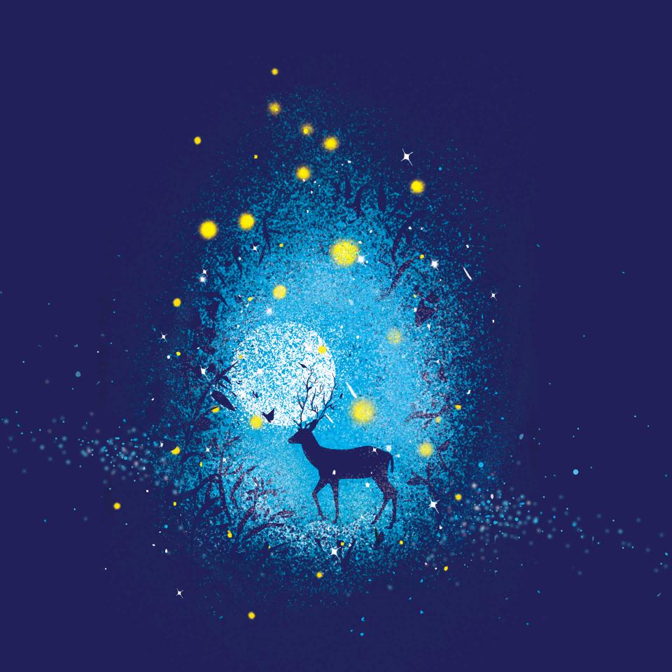 AᎥ࿆王家大小姐💕