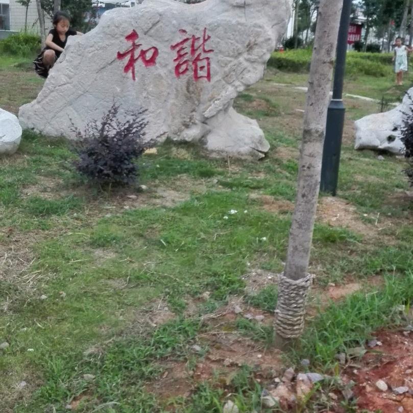 六六顺。
