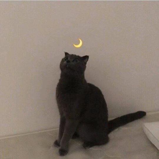 zzzzzz