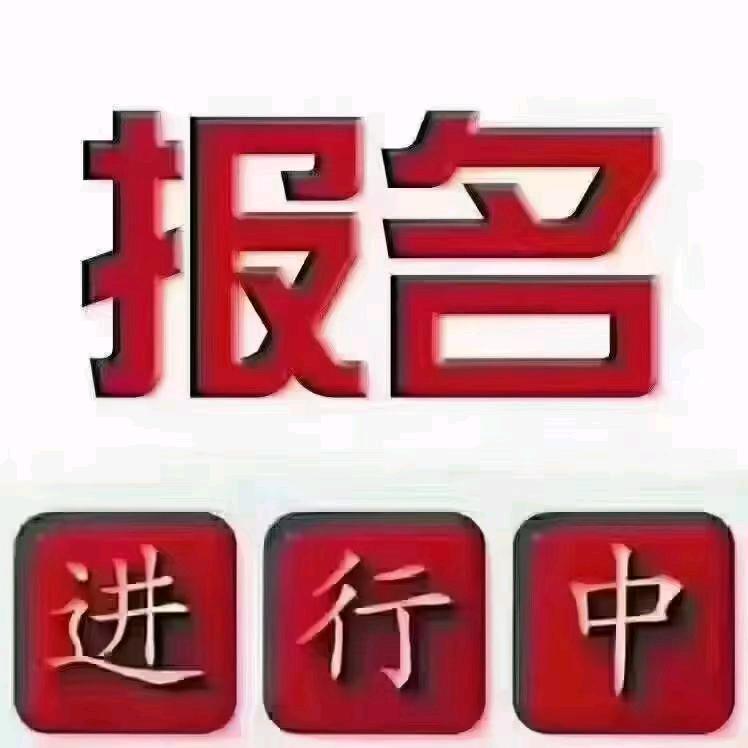 避风港（阿奇）
