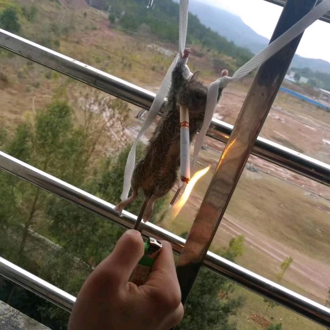 可乐有点甜