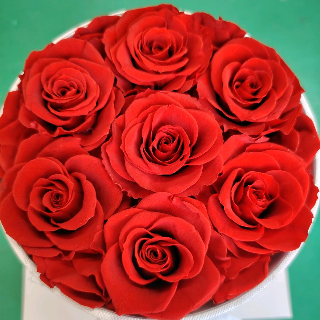 丛丛花礼