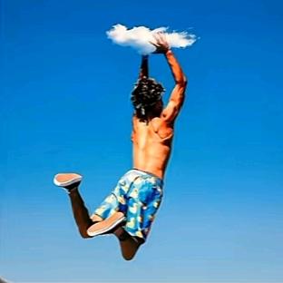 哈喽爱物瑞宝得