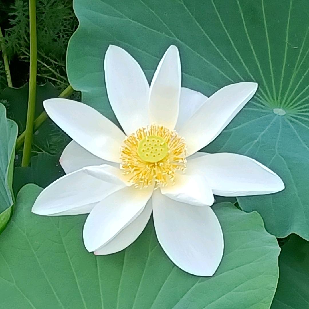 春夏秋冬～