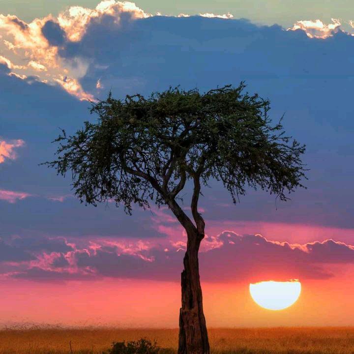 董☘☘🌹🌹董🌸🌸