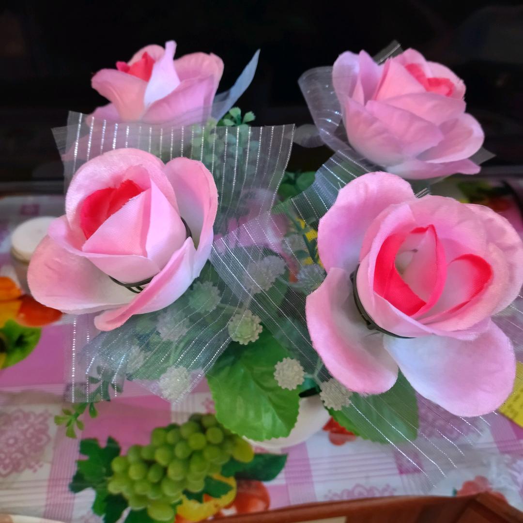 腊梅子