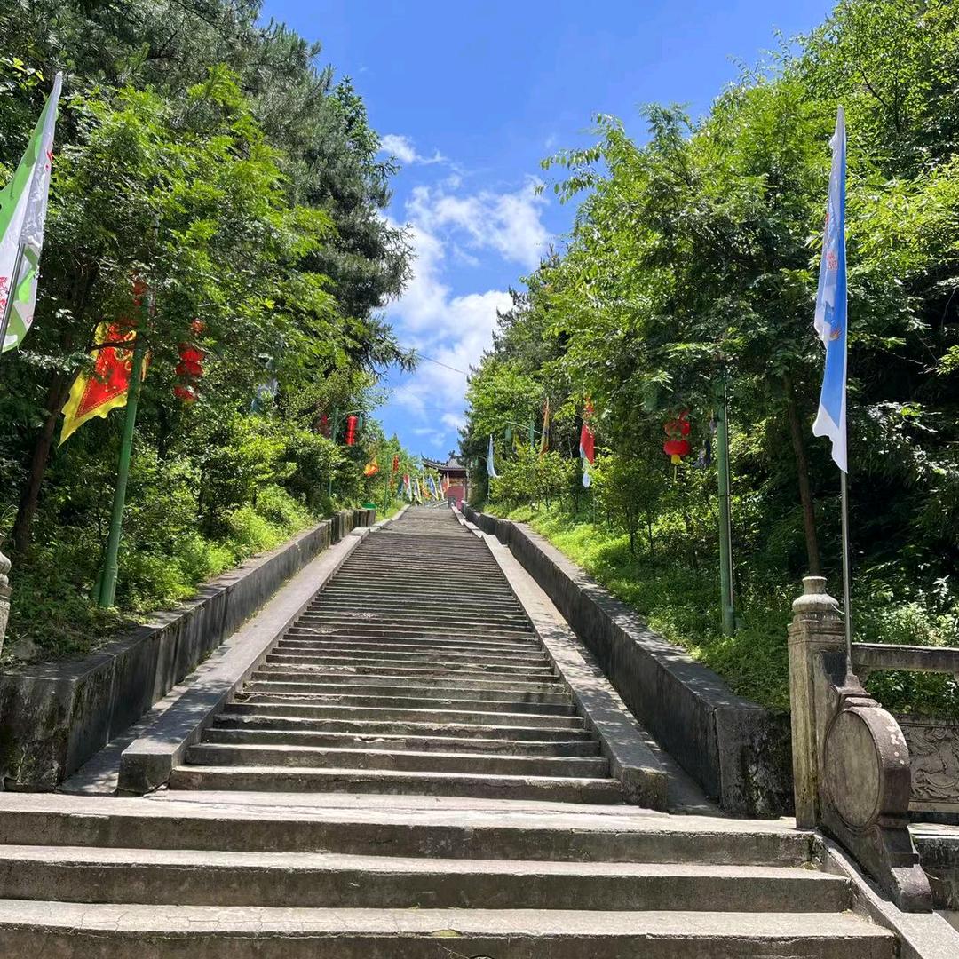 余生无情