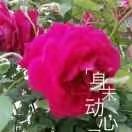 开心每一天🌸🌺