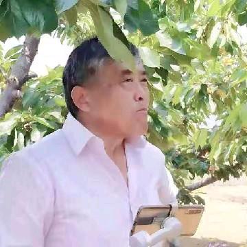 老赵游中国