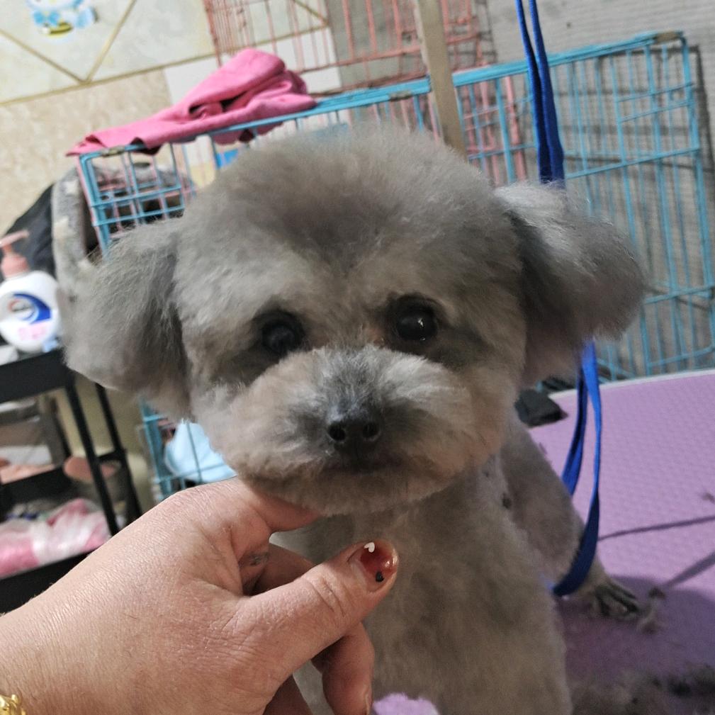 微山萌宠生活馆