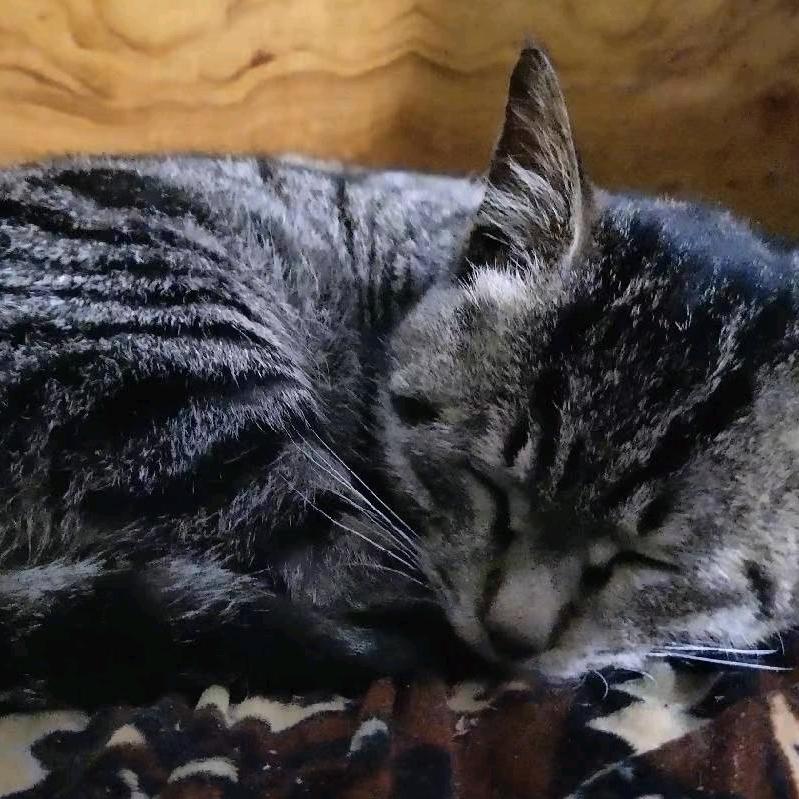 my~soul