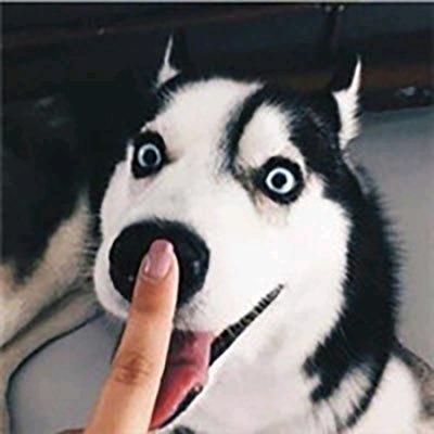 7%__