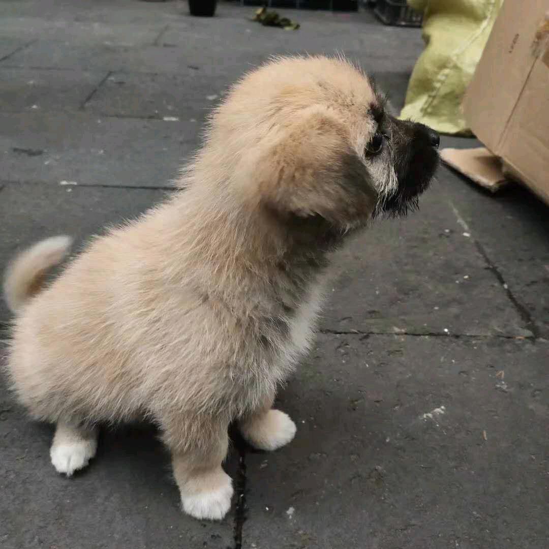 美女过敏的帅哥