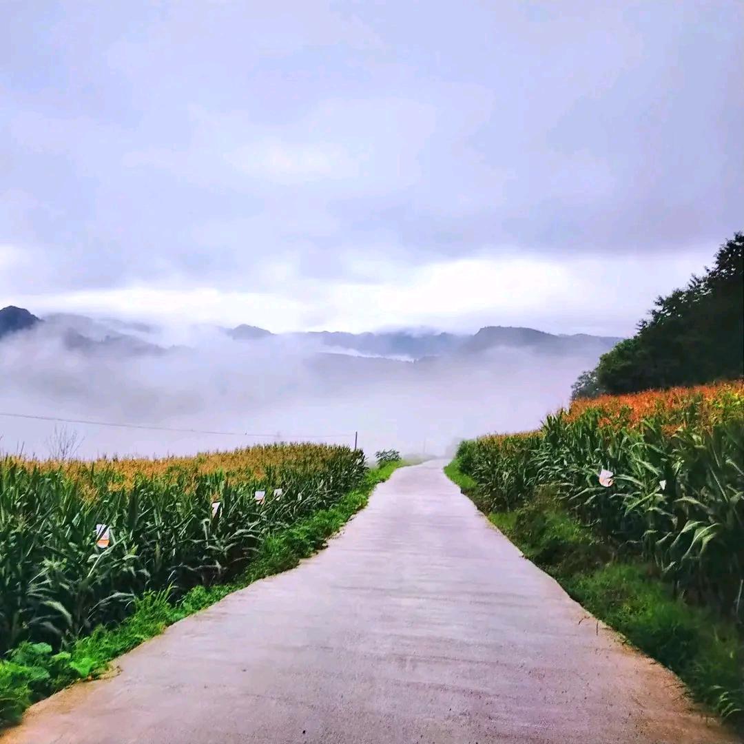 杨超