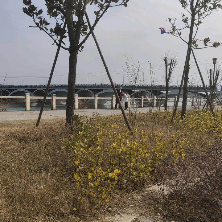 用户7874133085475