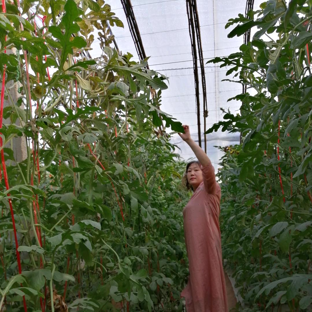 做自己的女王😊😊🍎🍎🍎🍎🍎