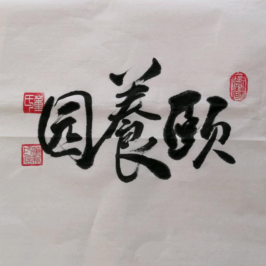 新哥（养老书画创始人）