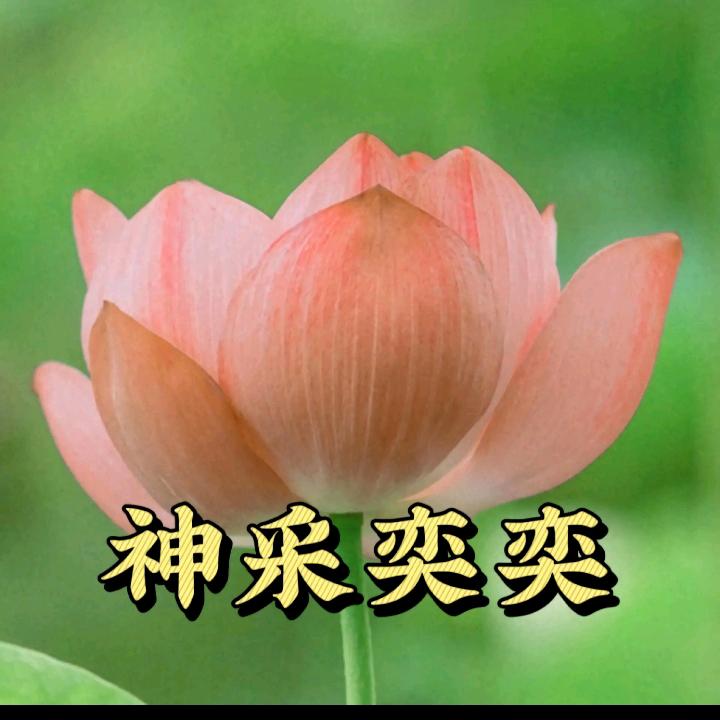 幸福美满。