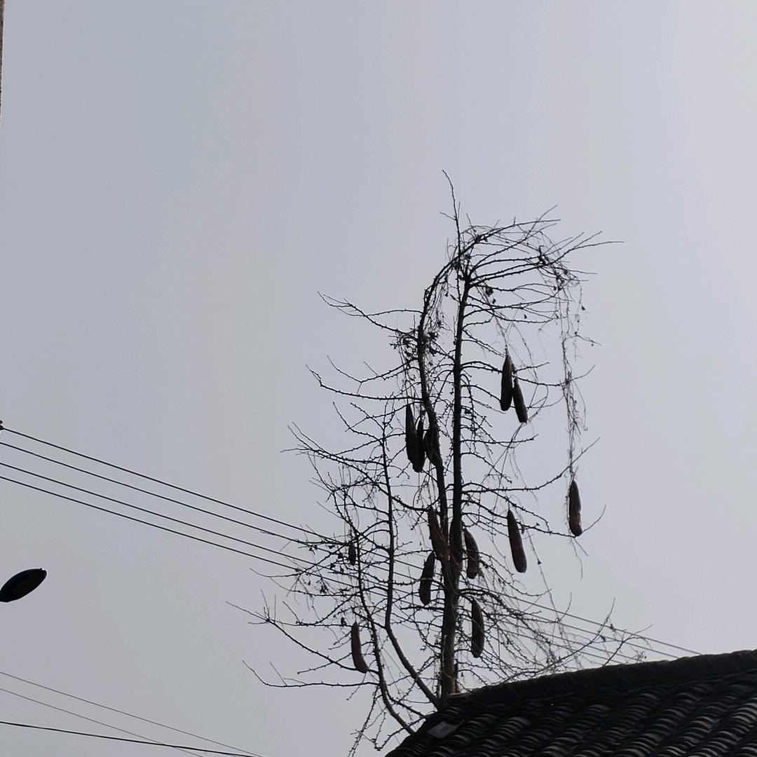 向自往由