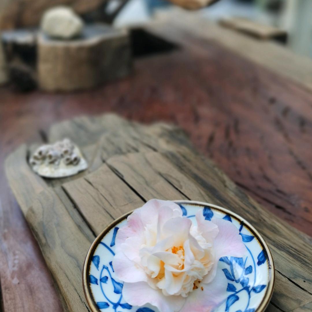 木兰花慢