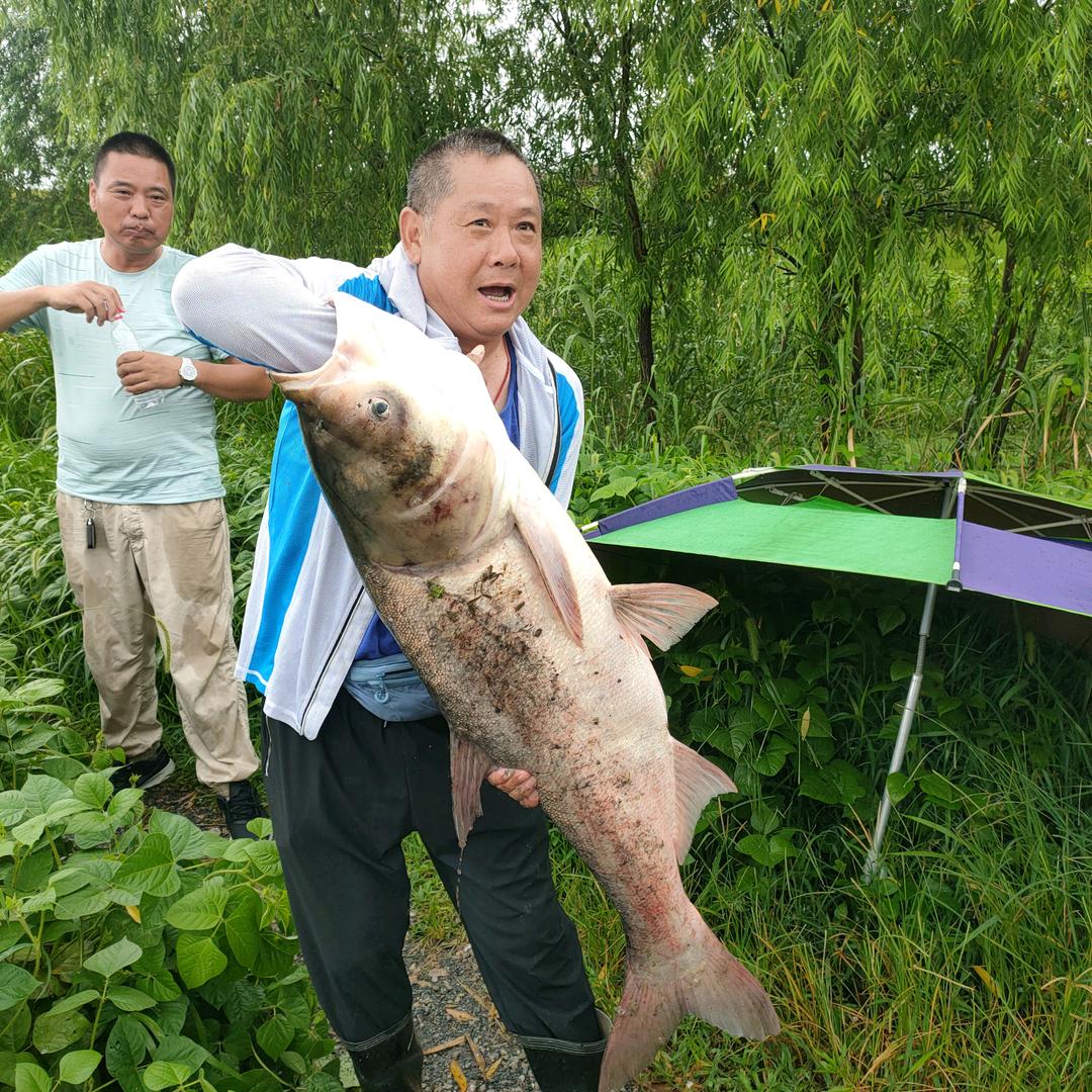 老王王