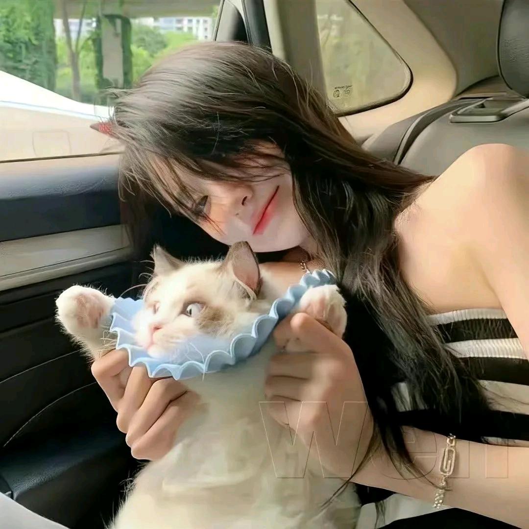 兔兔海盐甜饼干🍪