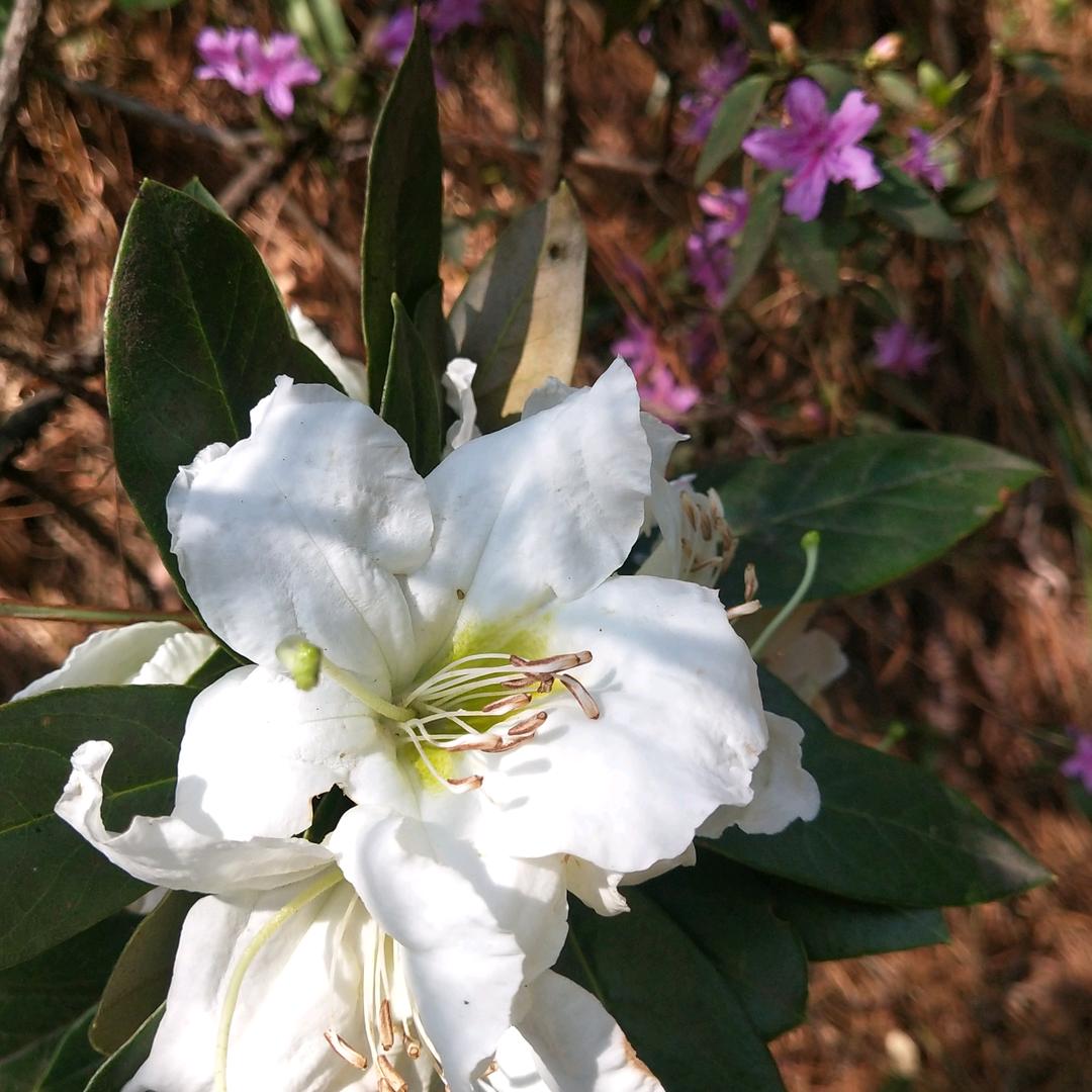 笑看明天，善待自己