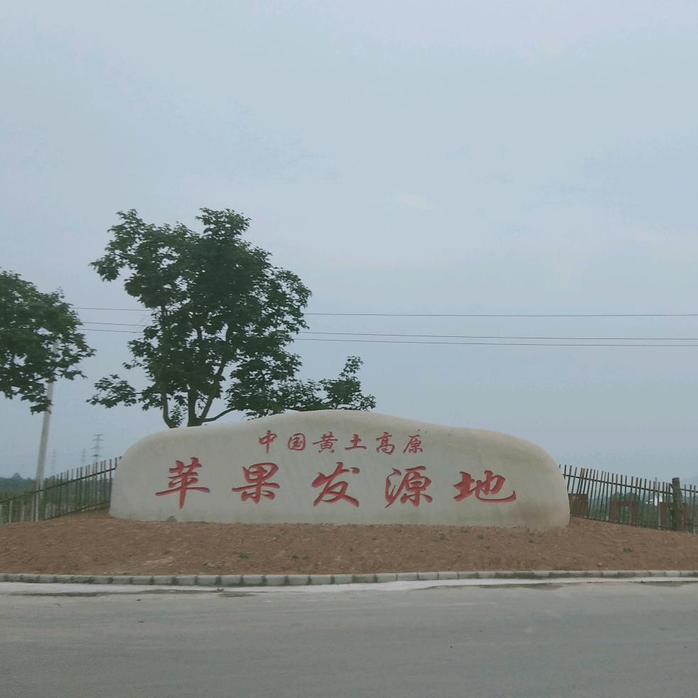 逆流成河