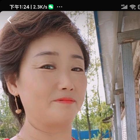 乡村一支花