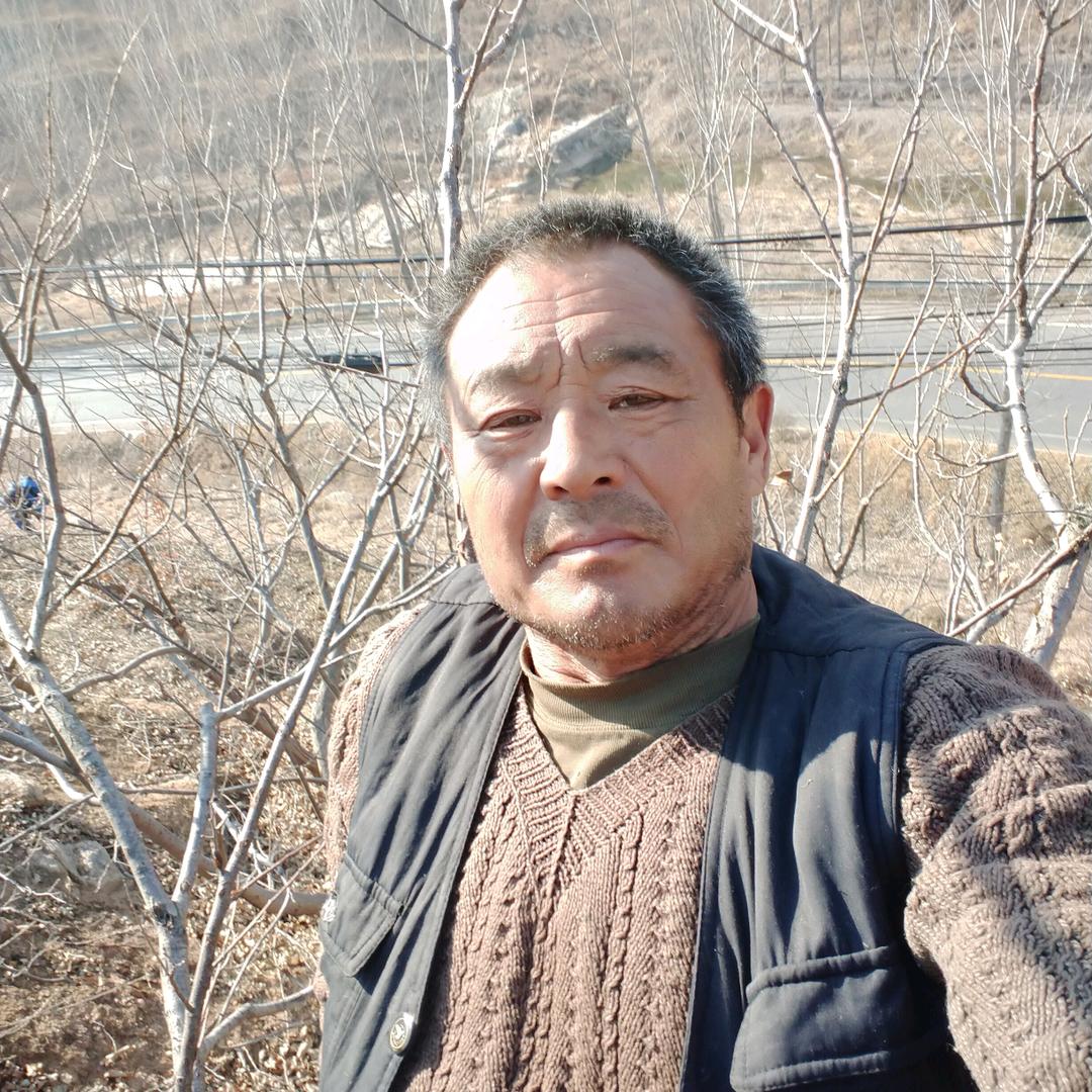 上山虎