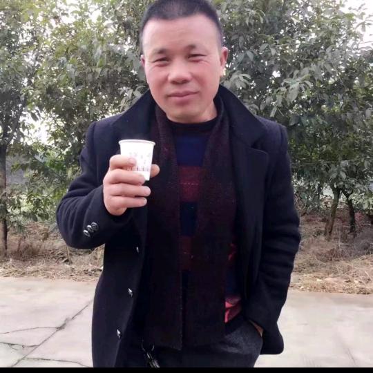 王超哥