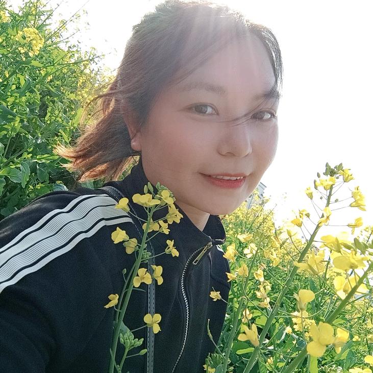 燕子（好物在橱窗）