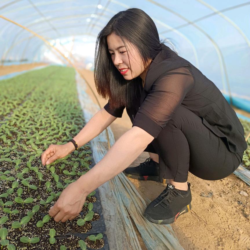 种西瓜的江西妹