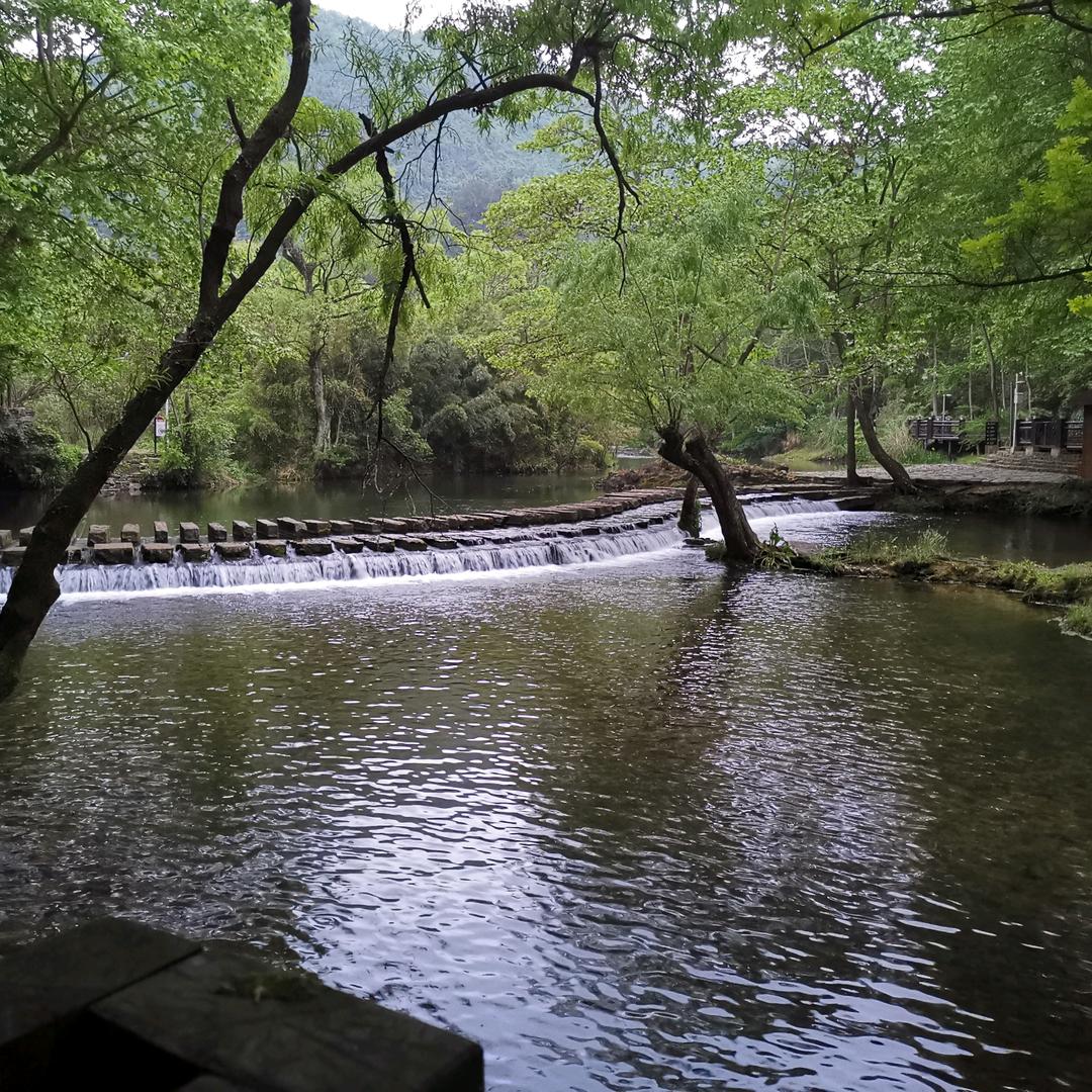 &林&