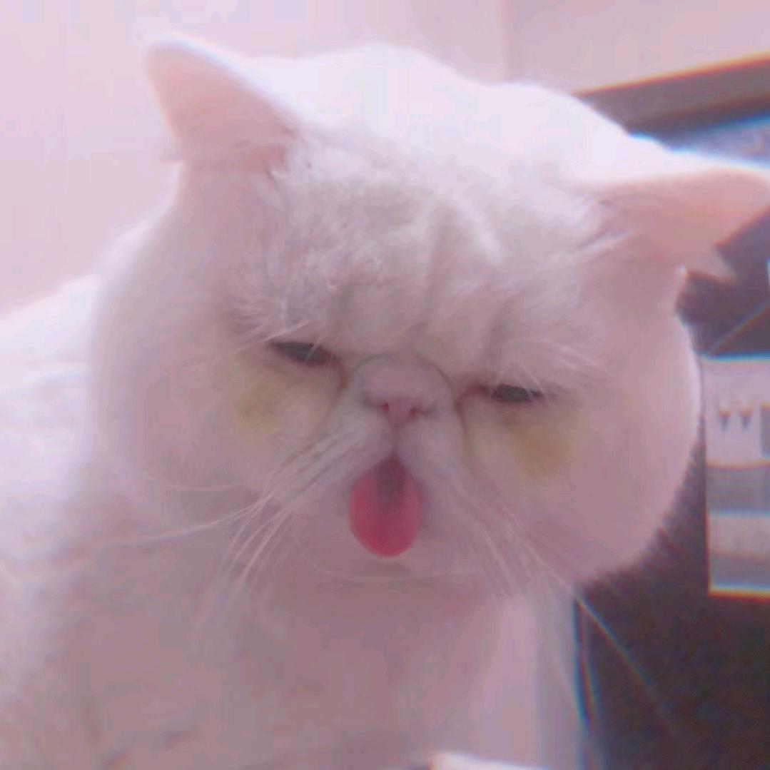 鱼皮花生🐠