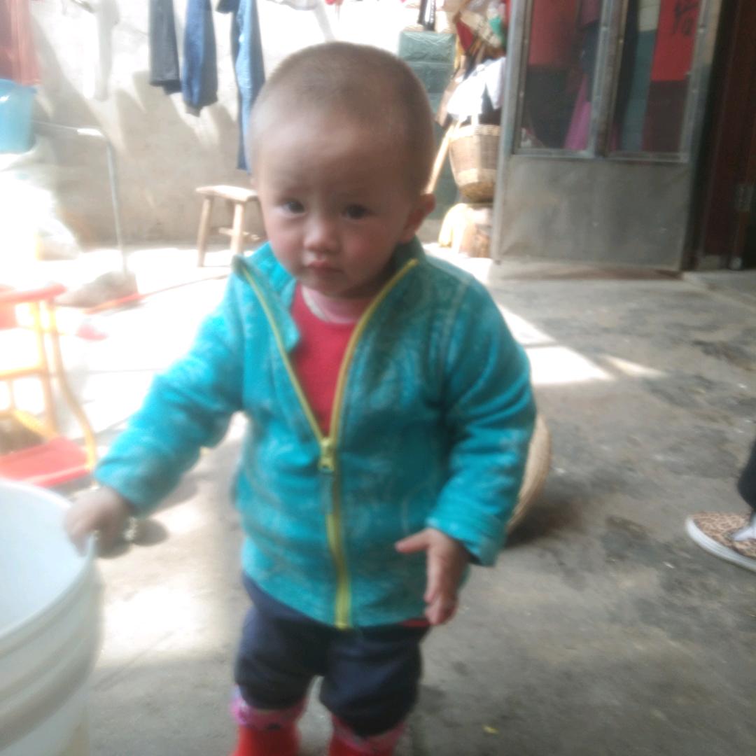 贺小琴妈妈咋晚喔，要还有鬼上山飞一走见过