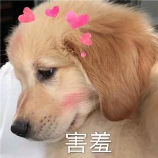 SH