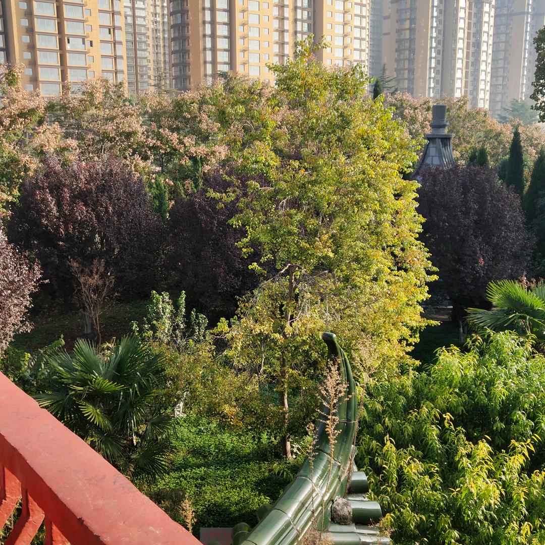 李林