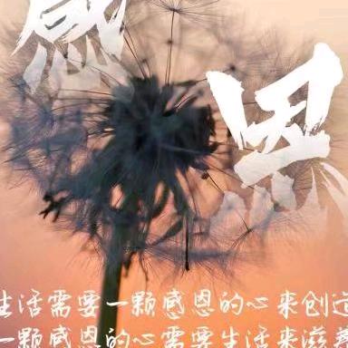 唐河县少拜寺镇希莱雅化妆品店