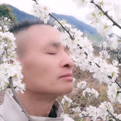 空灵《壁虎》