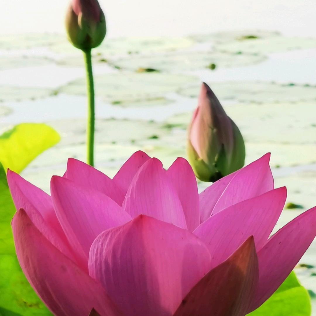 山容海纳
