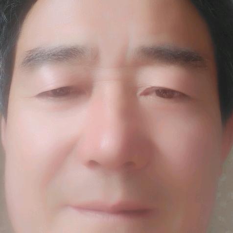 批发活鸡的老李
