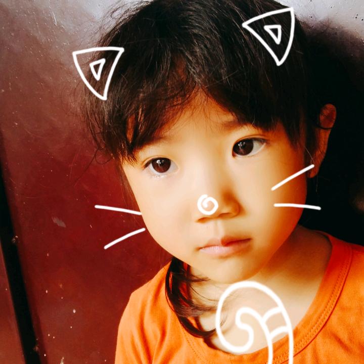 人的一生活的太累了