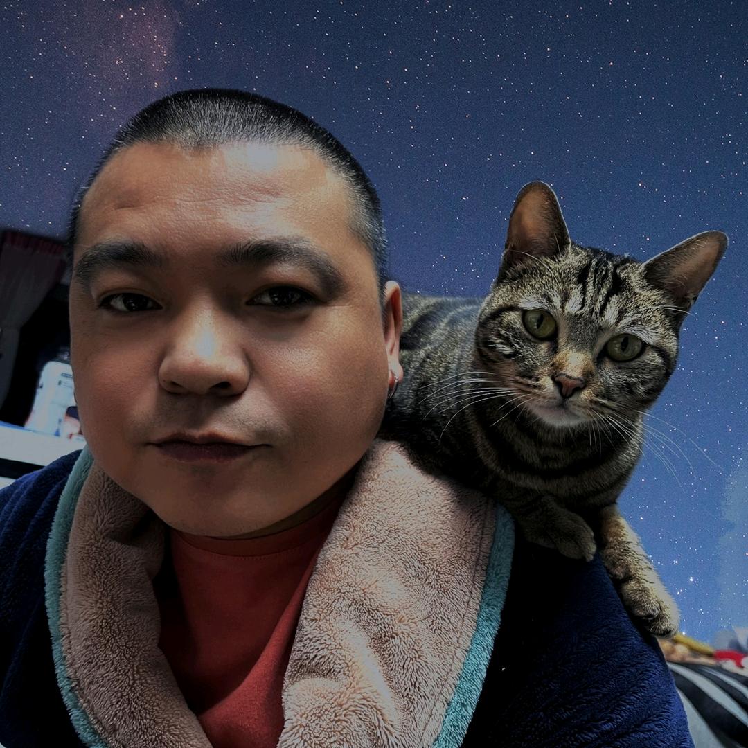 粘人的叨叨是只猫