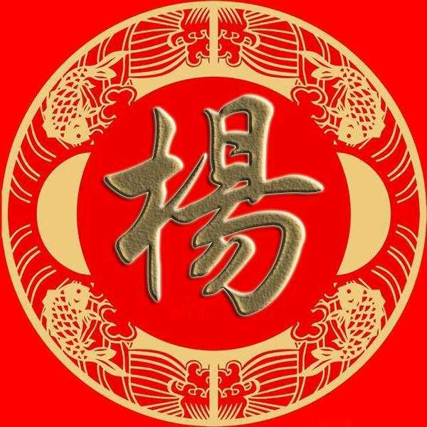 杨哥🇨🇳Wj
