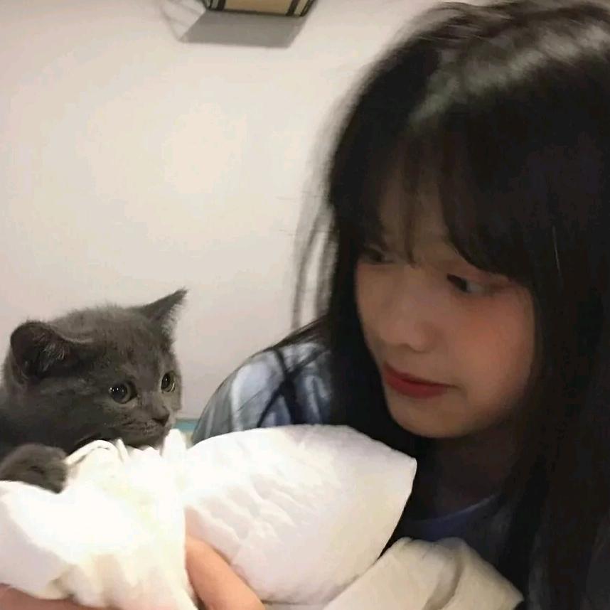 姚了我吧.
