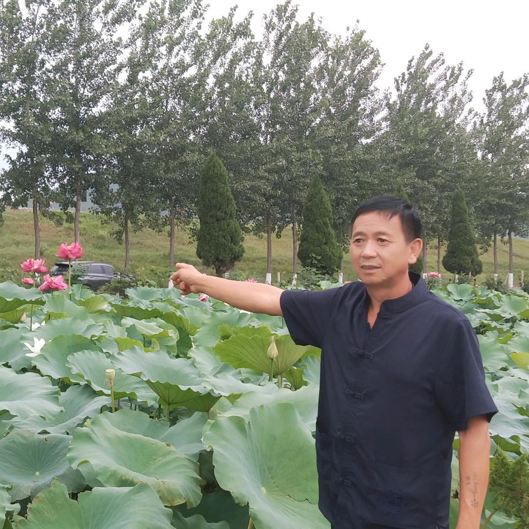 杨经理每晚八点零八直播